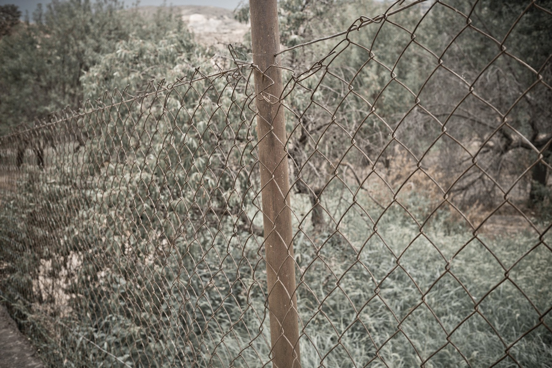 A bent wire fence in scrubland